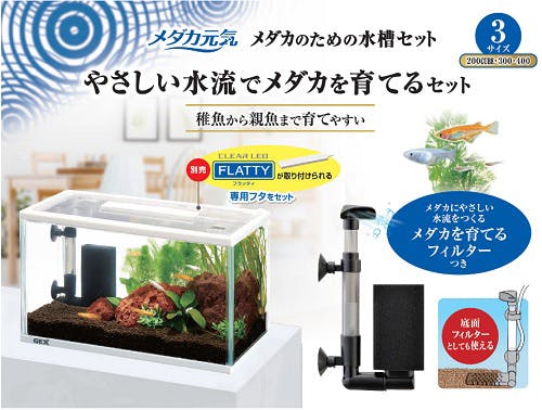 卵や稚魚にも使いやすい、メダカ専用水槽セット