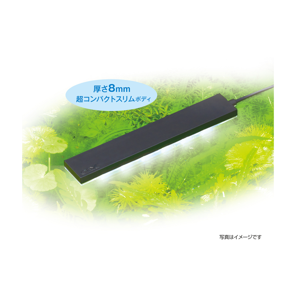 GEX クリアLED フラッティ ブラック | 水中生物用品・水槽用品 通販