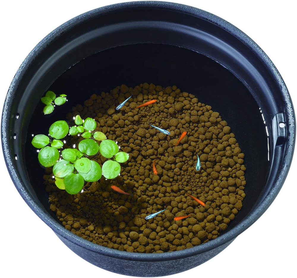 あかたまさん専用です。 GEX メダカ水景 ろ過する赤玉土 小粒 2.5L | チャーム