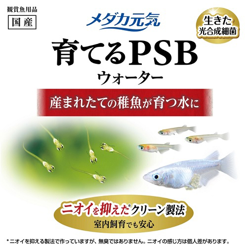 メダカ元気育てるPSBウォーター1L | 水中生物用品・水槽用品