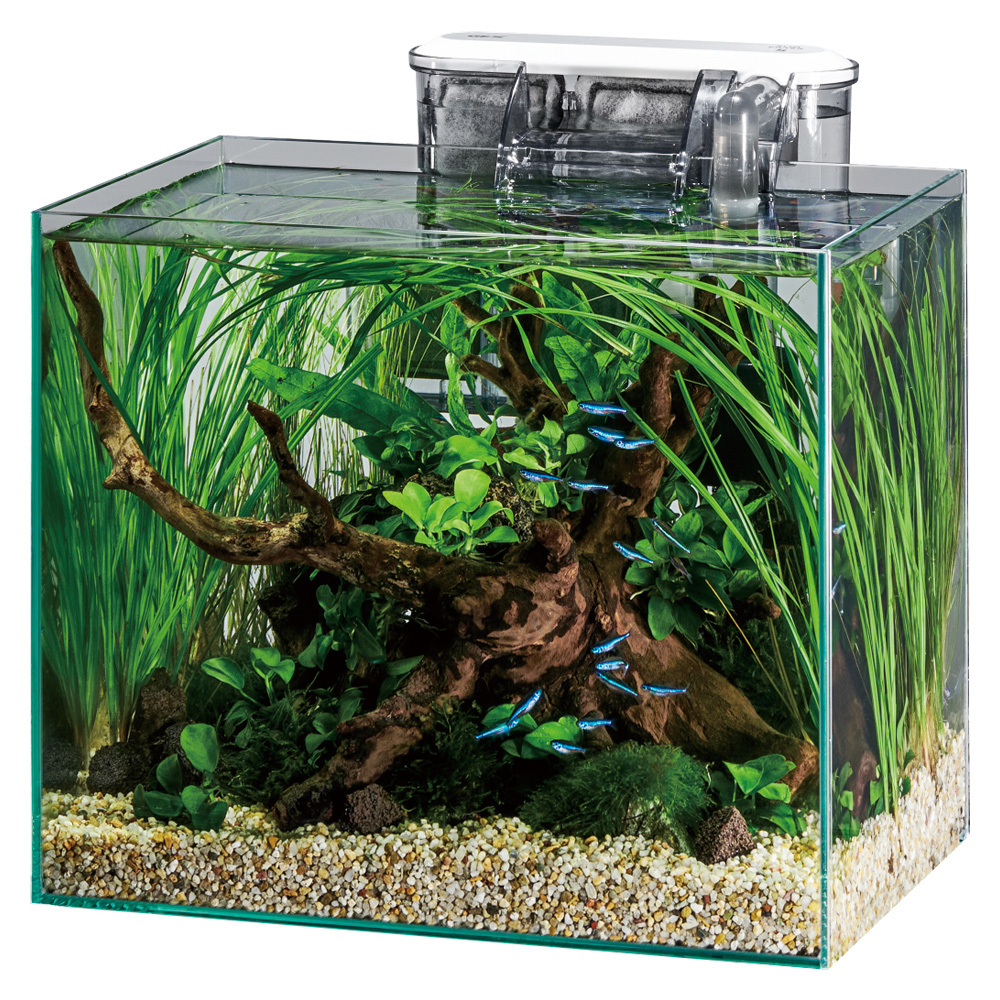 GEX グラステリアFL300 スリムフィルターセット | 水中生物用品