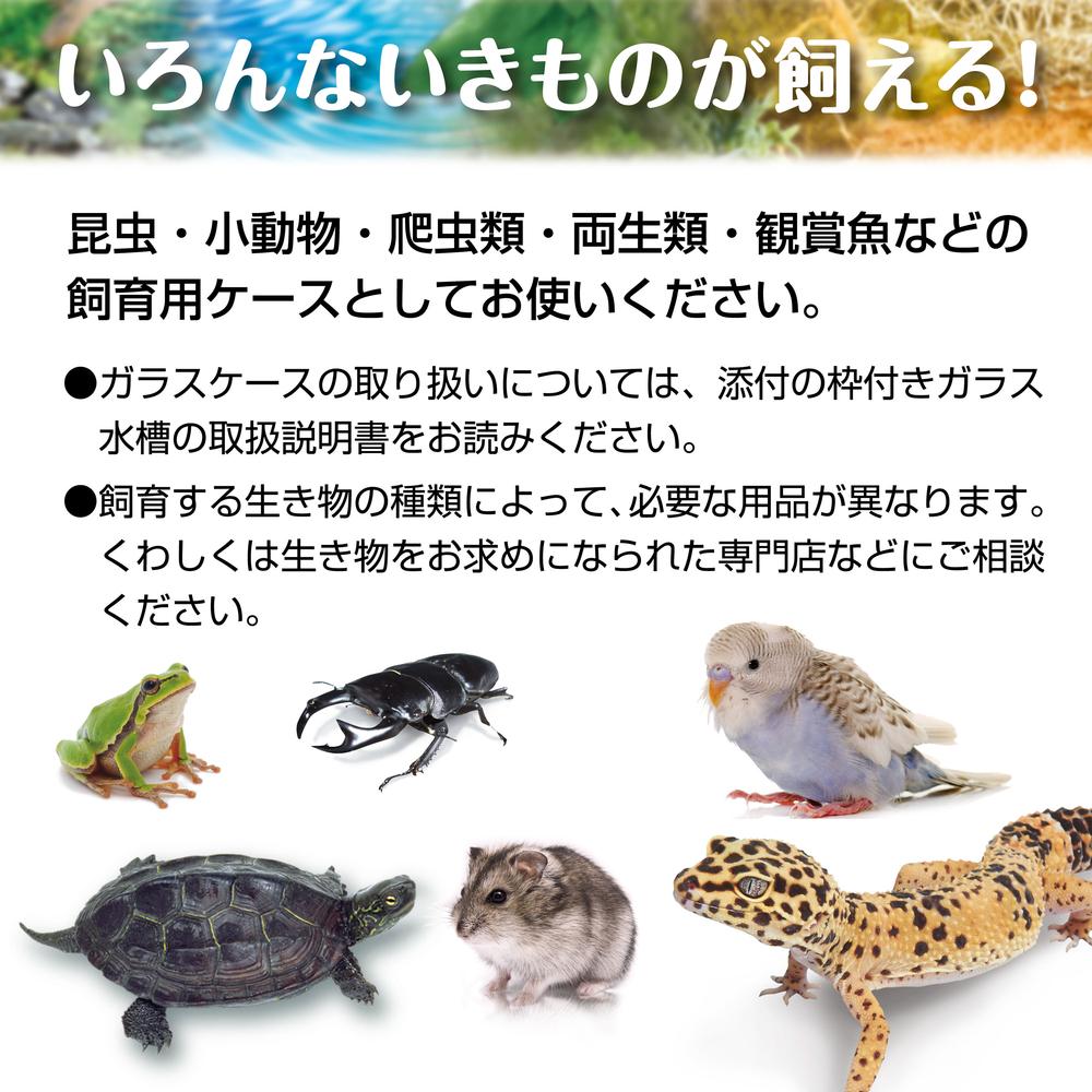 中型ガラス飼育ケース 中型ガラス飼育ケース 中型ガラス飼育ケース