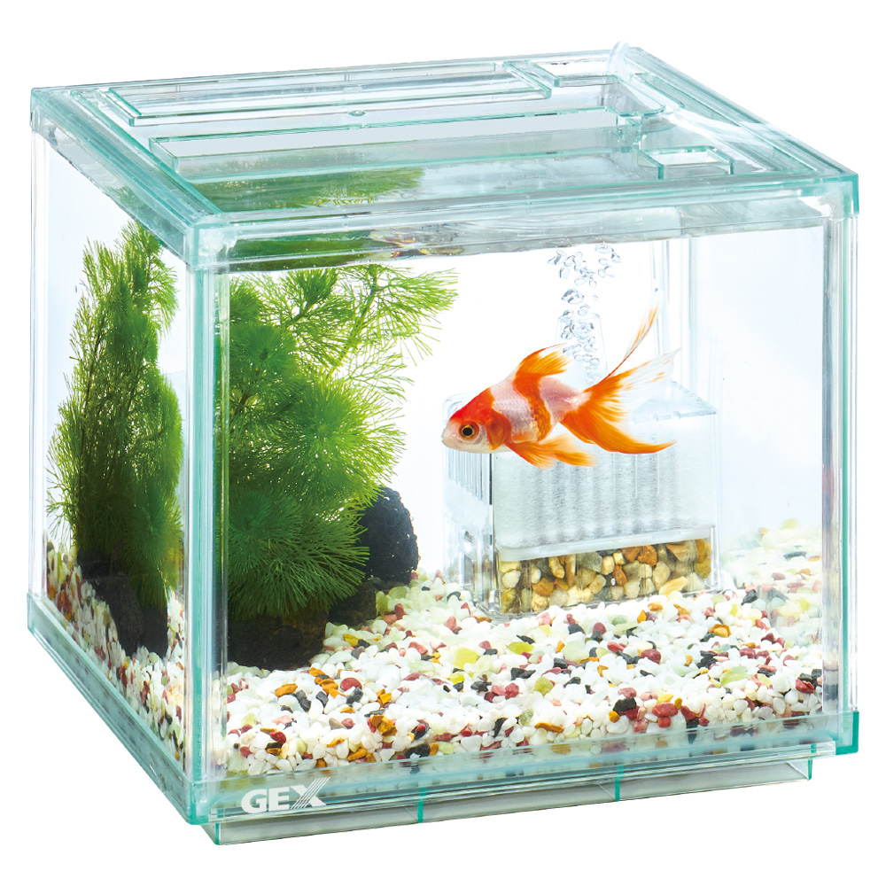 金魚元気 ぶくぶくクリア200CUBE | 水中生物用品・水槽用品 通販