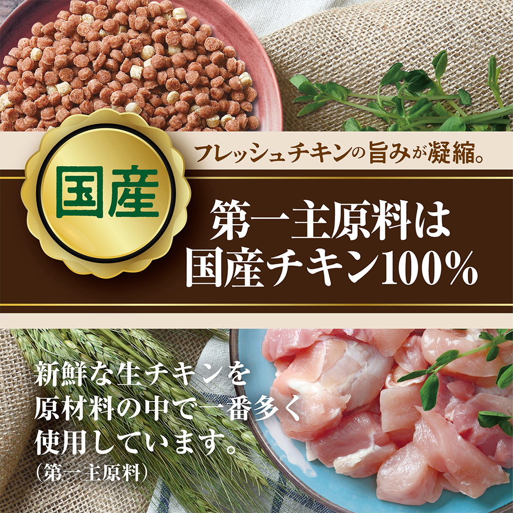 ミンチスペシャル スーパーシニア13歳 野菜 1.08kg | ドッグフード