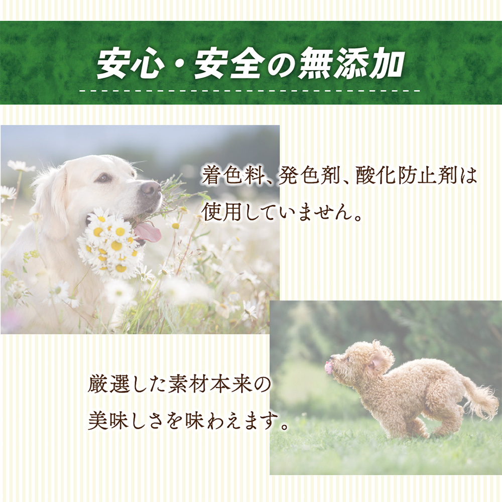 ナチュラハ グレインフリー ビーフ＆野菜入り 15歳以上 100g