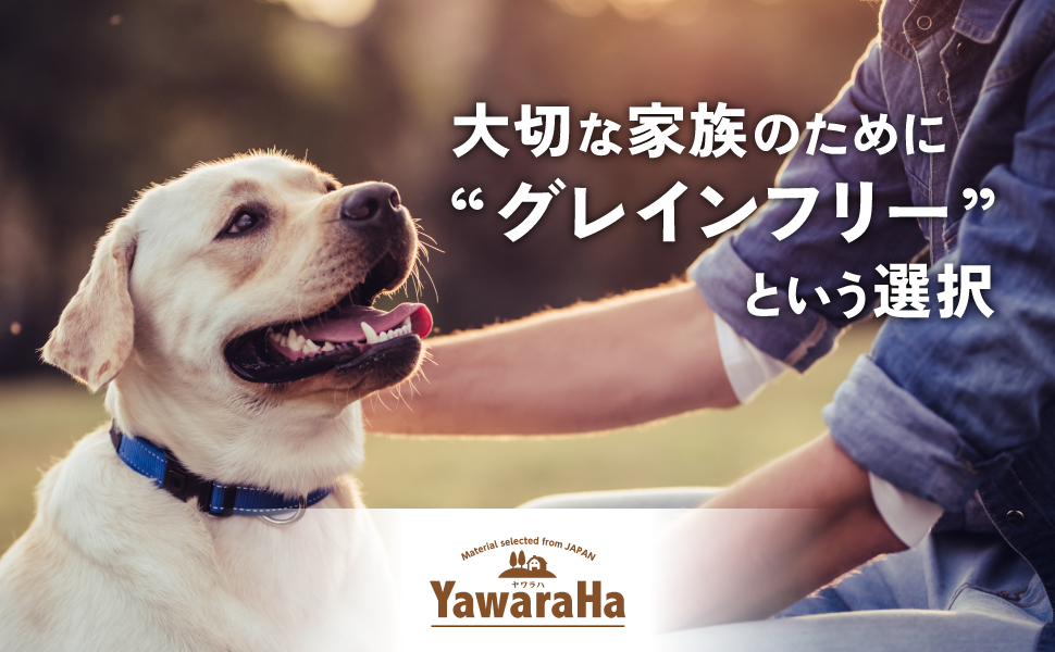 ヤワラハ グレインフリー ソフト 体重管理用 チキン＆野菜入り 600g
