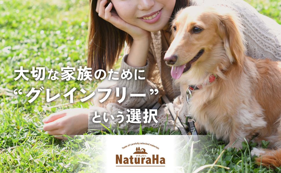 ナチュラハグレインフリービーフ＆野菜入り11歳以上 | ドッグフード