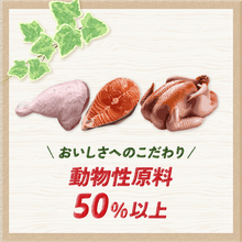 ナチュラハ ターキー・チキン＆野菜入り 成犬小粒 | ドッグフード 通販