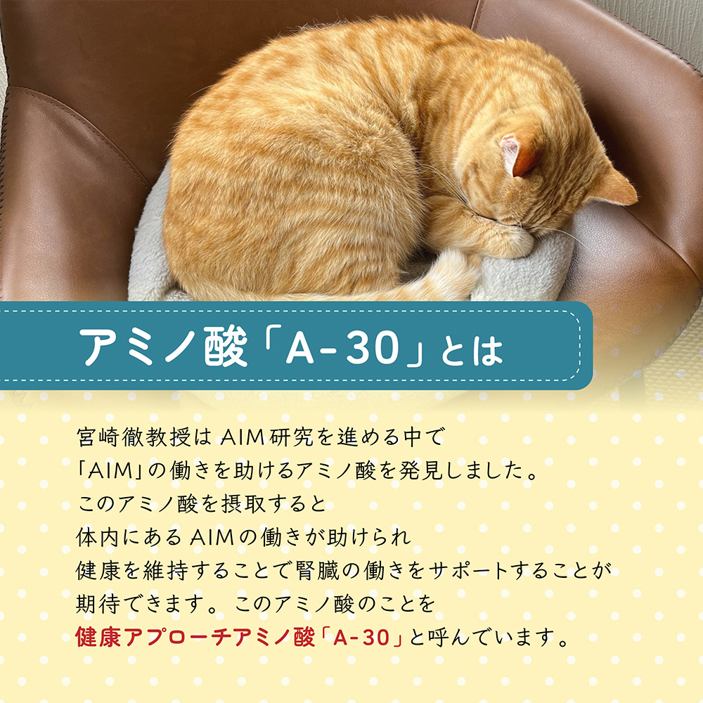 AIM30 腎臓の健康維持フード 600g × 6袋 フィッシュ Amazon | AIM30 11歳以上の室内猫用 腎臓の健康ケア 600g