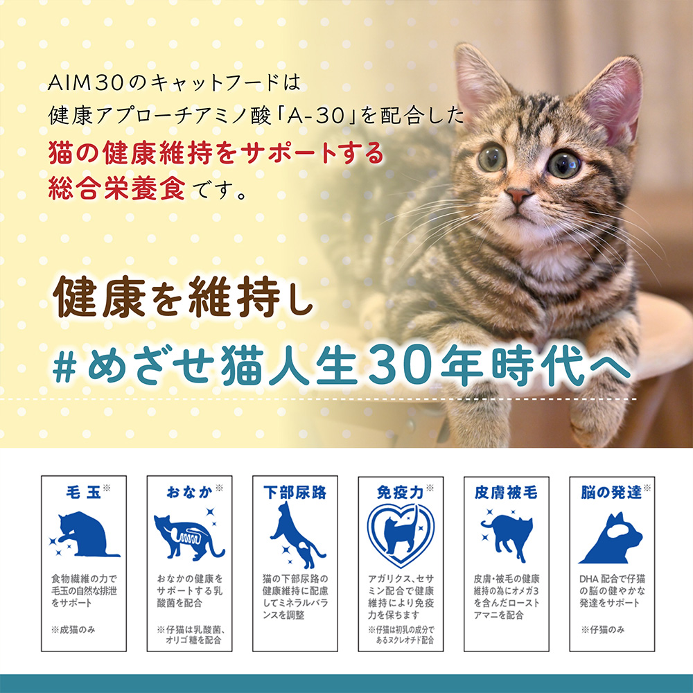AIM30 室内避妊去勢後成猫用健康な尿路毛玉ケア | ペット用品