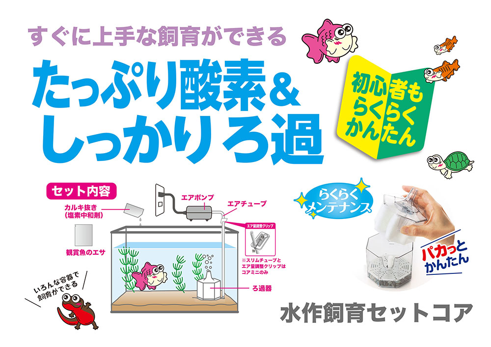コアミーセット コアライトプラスBMZ | CORE-RIGHT+BMZ シューケア/アクセサリー