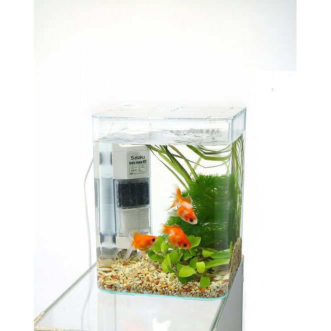 水槽・アクアリウムのおすすめ商品一覧｜ホームセンターのカインズ