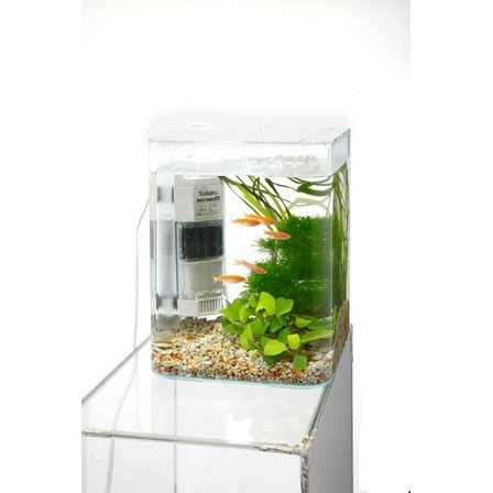 リトルアクアリウム お魚飼育セット カインズ限定セット | 水中生物