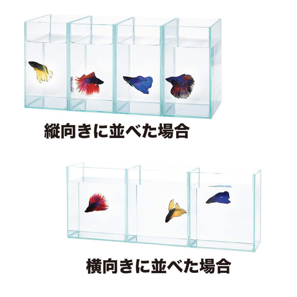 ショーベタコレクションケースM | 水中生物用品・水槽用品 通販