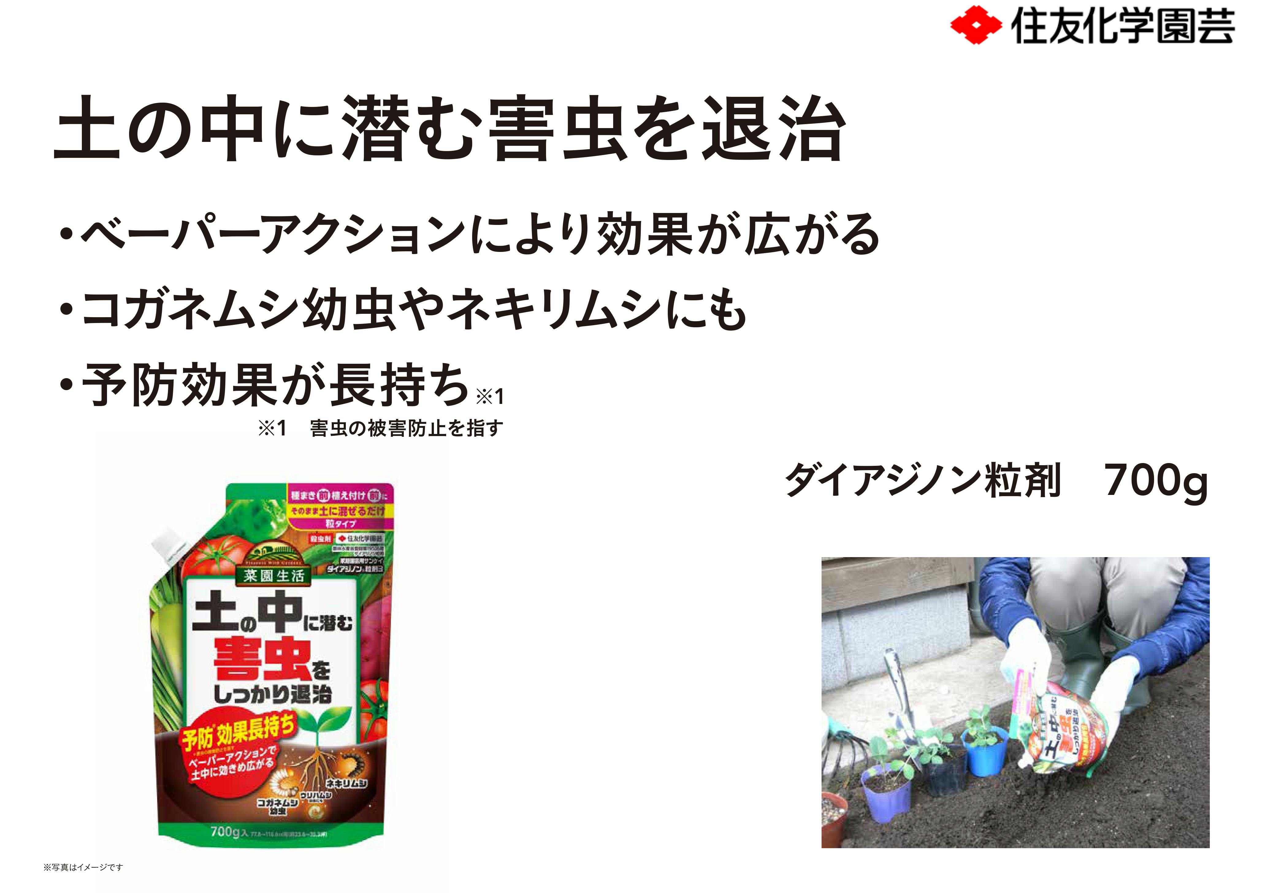 住友化学園芸 ダイアジノン粒剤3 400g|ホームセンター通販【カインズ】 住友化学園芸 ダイアジノン粒剤3 400g|ホームセンター通販【カインズ】