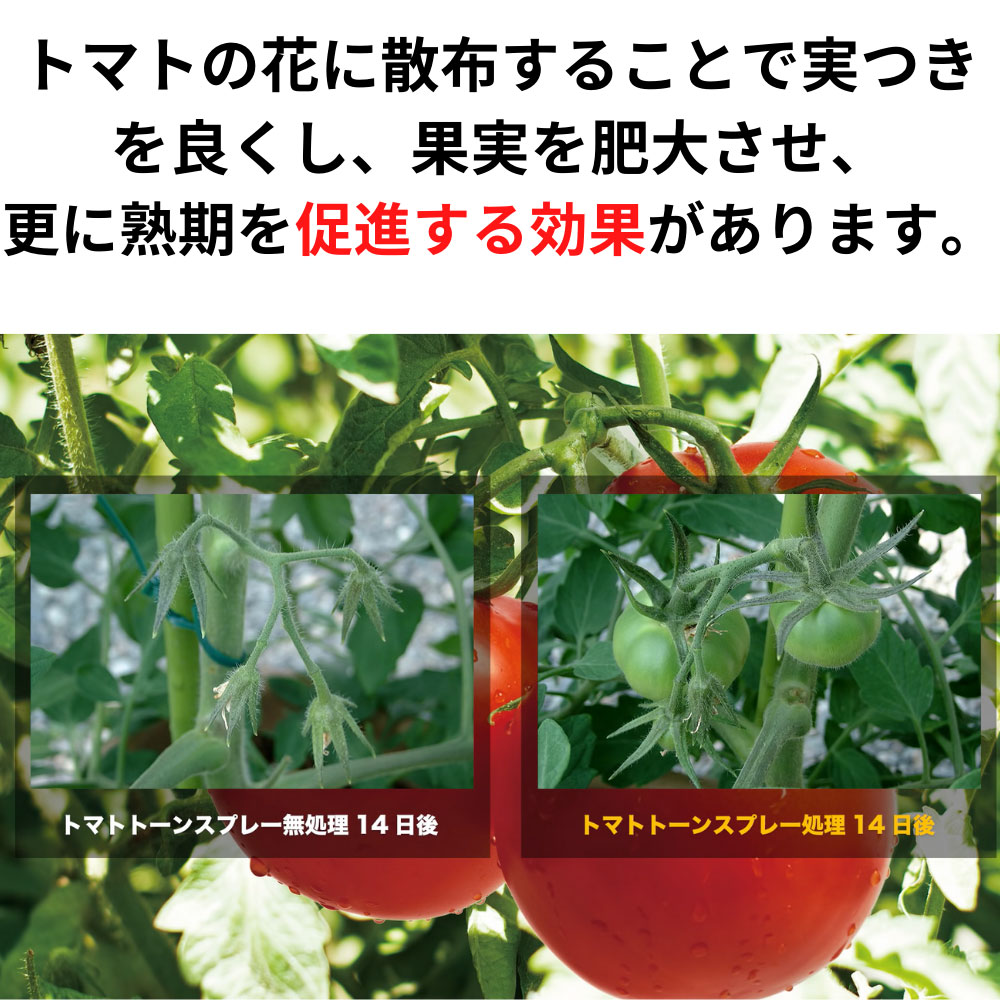 トマトトーンスプレー 420ml | 園芸用薬品 通販
