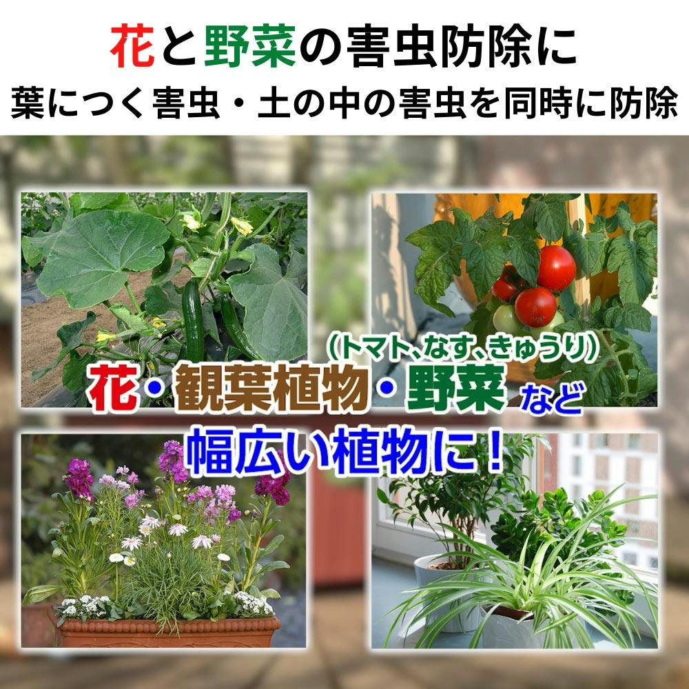 オルトランDX粒剤 200g