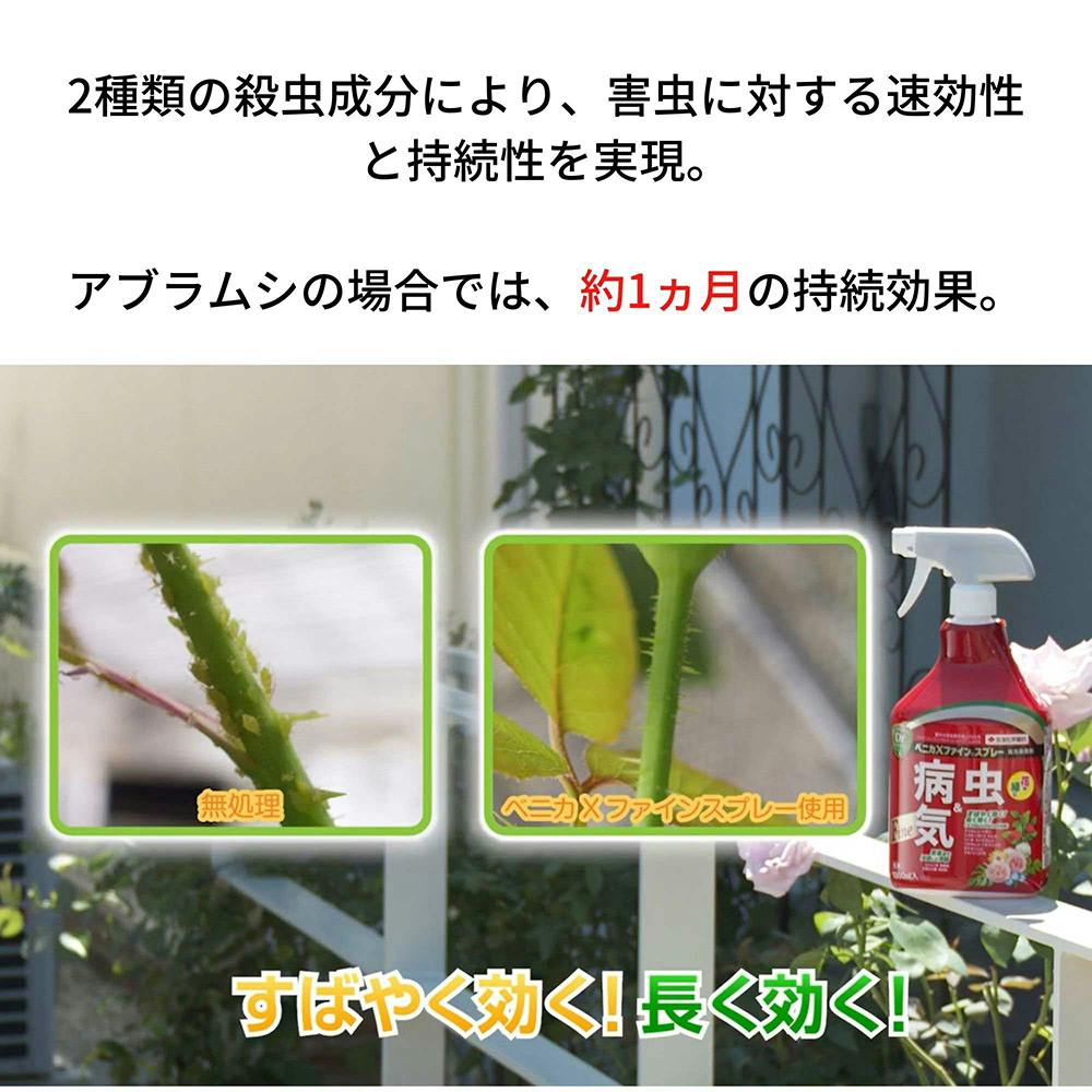ベニカXファインスプレー 1000ml
