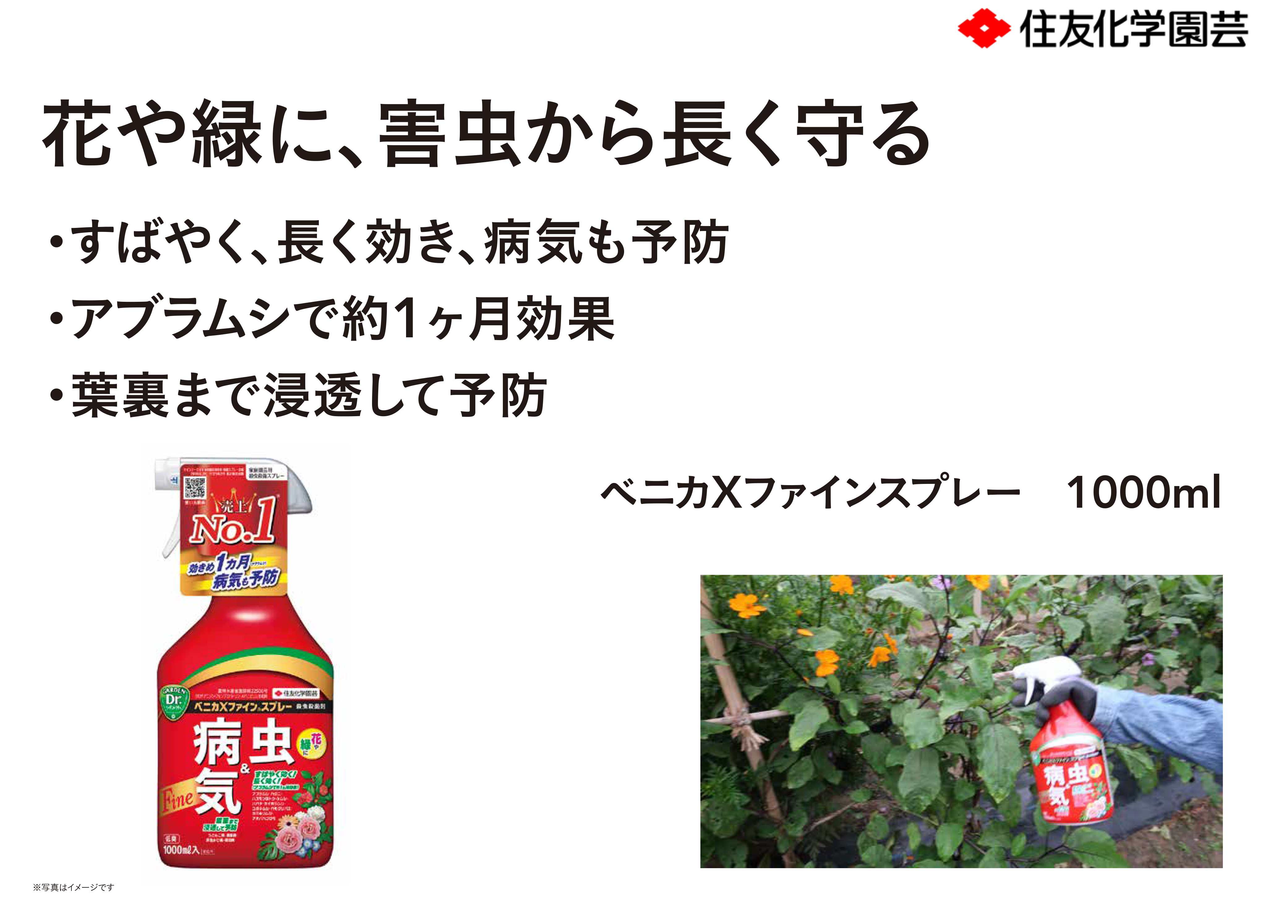【一点物】ZENONEキャンバス 額付き 作品 匿名発送　スプレー缶 一点物】ZENONEキャンバス 額付き 作品 匿名発送 スプレー缶
