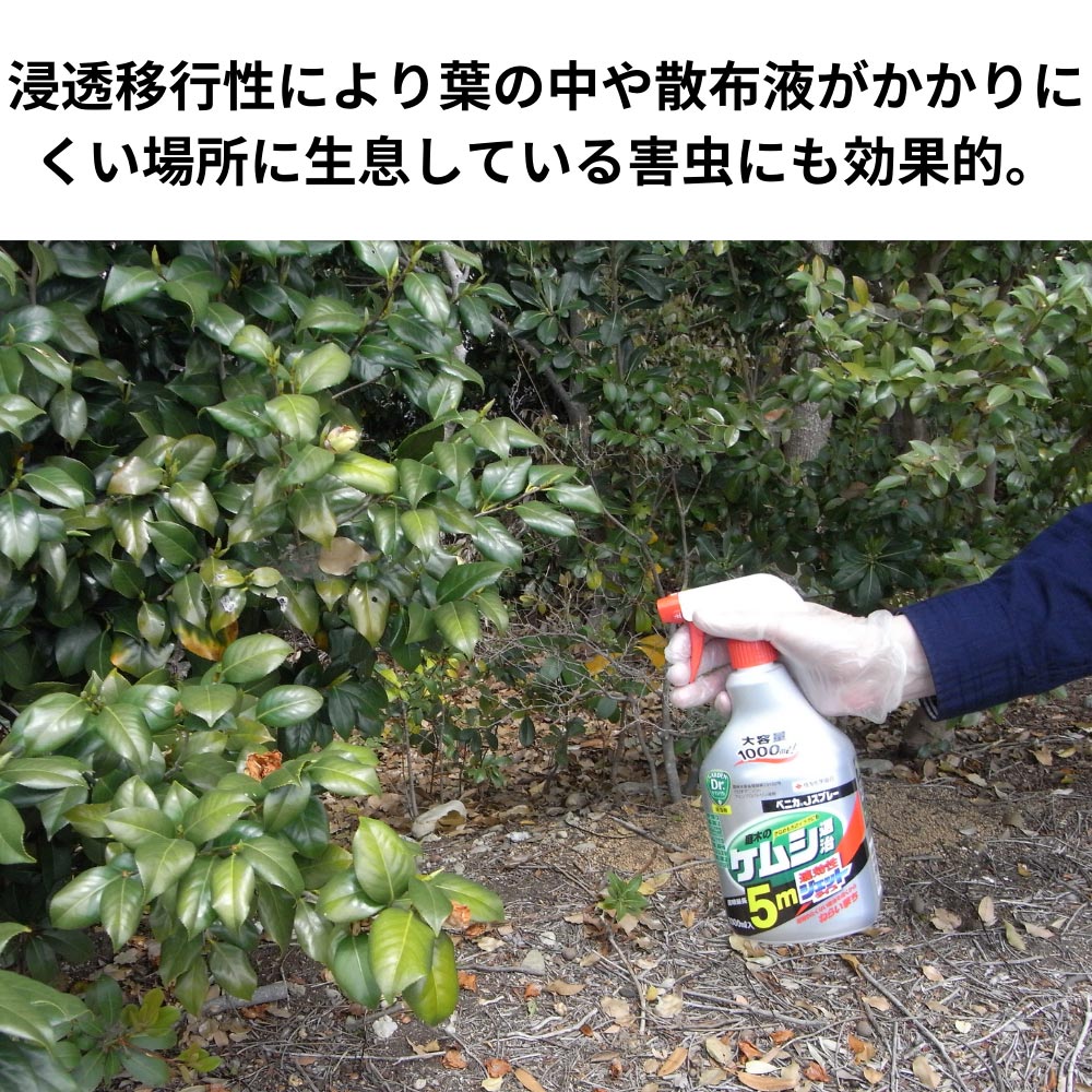 ガンは伝染する! : 恐るべき寄生虫症の真相 Amazon.co.jp: ガンは伝染する: 恐るべき寄生虫症の真相 : 笹川