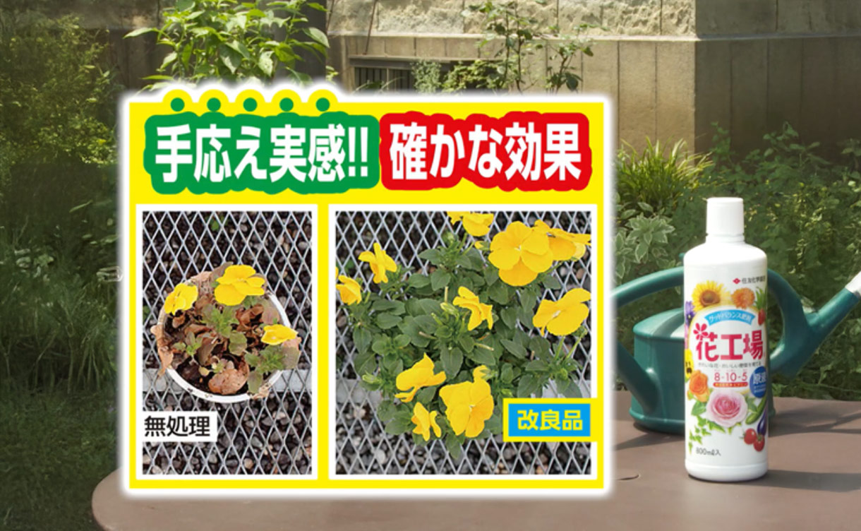 花工場原液 800ml | 用土・肥料 通販 | ホームセンターのカインズ
