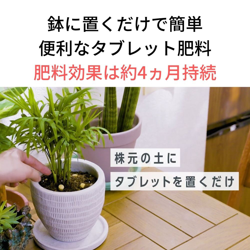 MY PLANTS 長く丈夫に育てるタブレット | 用土・肥料 通販