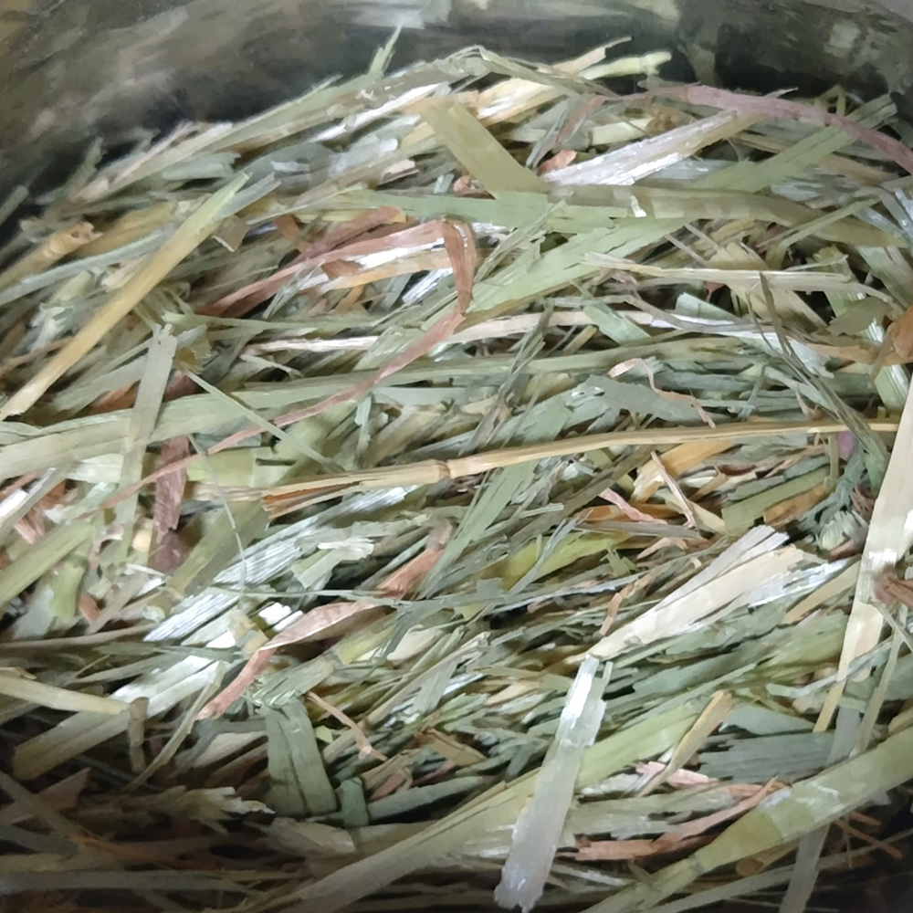 ハイペット パスチャーウィートヘイ 400g | ペット用品（小動物・鳥