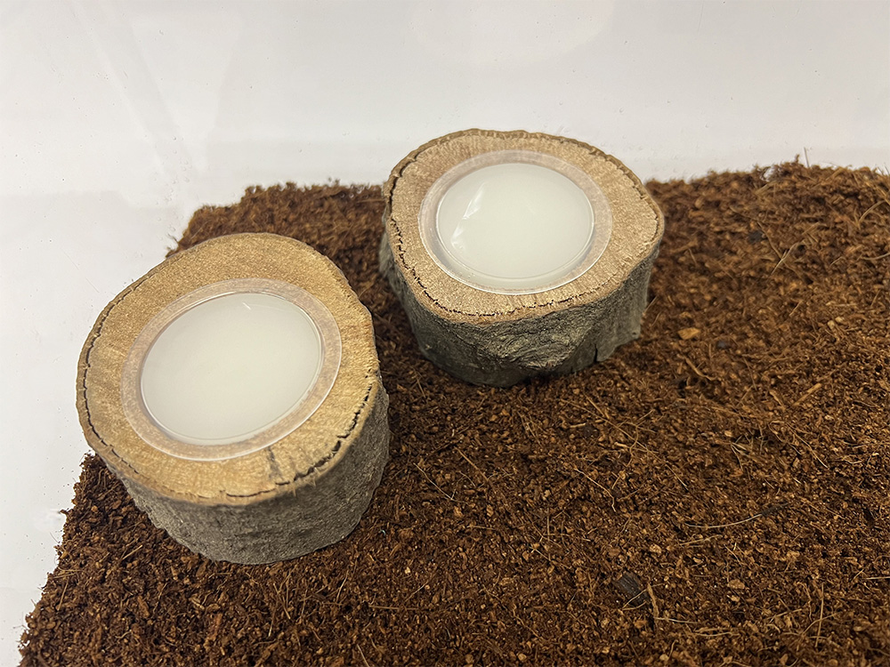 フジコン ワイドカップゼリー用 エサ皿ダブル | 昆虫用品・昆虫