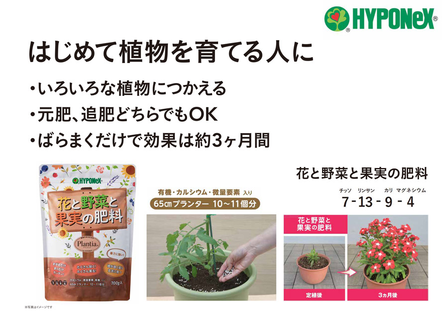 プランティア 花と野菜と果実の肥料 700g | 園芸用品 | ホームセンター