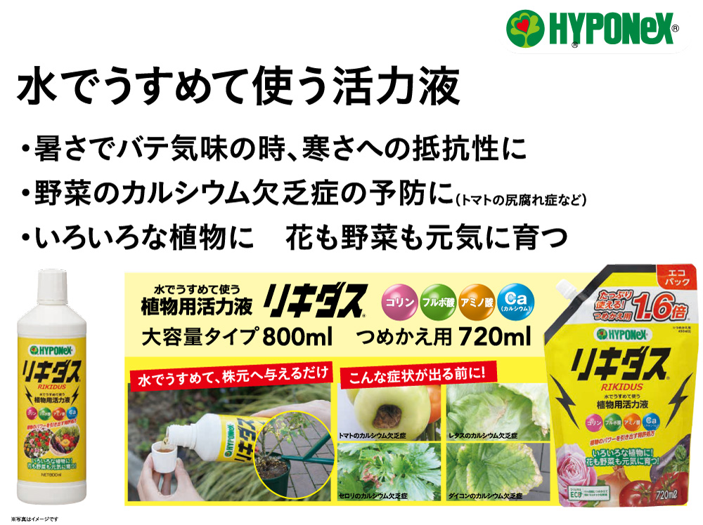 ハイポネックス リキダス 植物用活力剤 800ml | 用土・肥料 通販