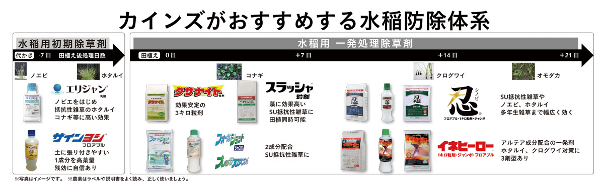 科研製薬 農薬 科研 イネヒーロー1キロ粒剤 1kg - 肥料、薬品