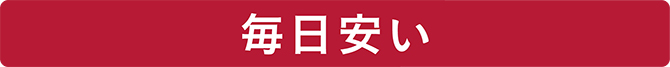 ライオン事務器 本立 ライトグレー サポーター2本付 R-25 1台 - その他