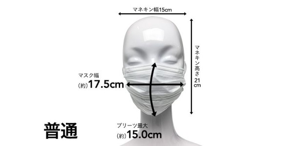 やわらかふわふわ素材のダブルワイヤー不織布マスク マネキン着用
