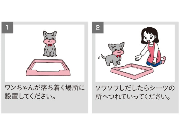 トイレの上手なしつけ方@A