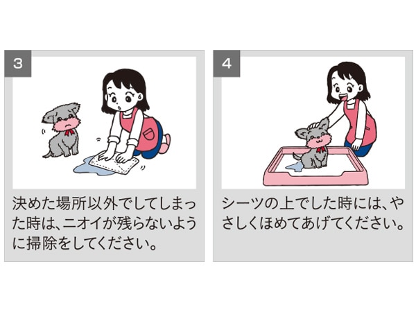 トイレの上手なしつけ方BC