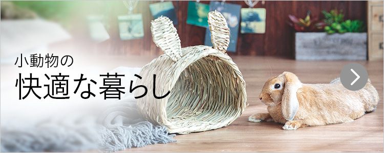 小動物の快適な暮らし