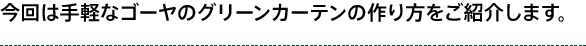 今回は手軽なゴーヤのグリーンカーテンの作り方をご紹介します。