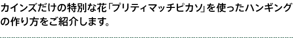 カインズだけの特別な花「プリティマッチピカソ」を使ったハンギング の作り方をご紹介します。 