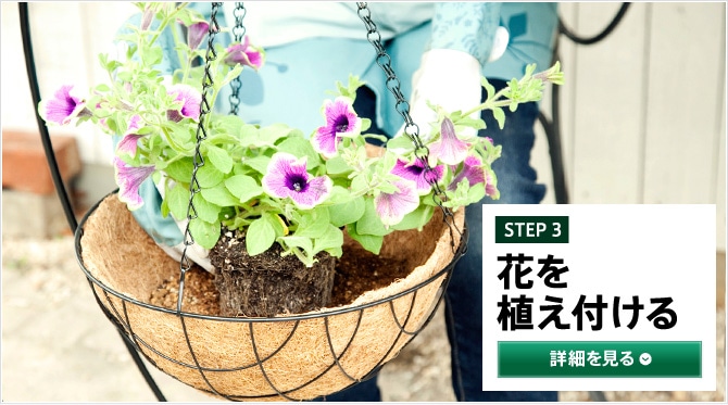 STEP3 花を植えつける