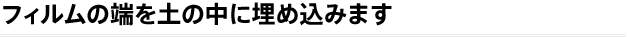 フィルムの端を土の中に埋め込みます