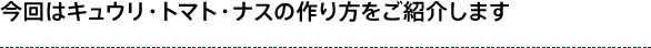 今回はキュウリ・トマト・ナスの作り方をご紹介します