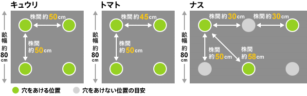 キュウリ　トマト　ナス　