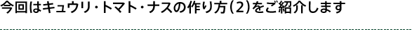 今回はキュウリ・トマト・ナスの作り方（２）をご紹介します