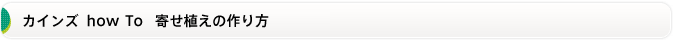 カインズ  how To   寄せ植えの作り方