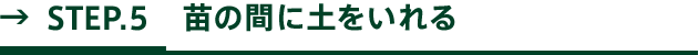 STEP.5 苗の間に土をいれる