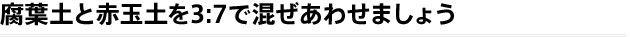 腐葉土と赤玉土を3:7で混ぜあわせましょう