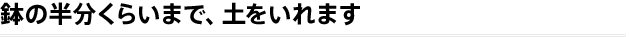 バスケットの高さに合わせて、花を仮置きしましょう