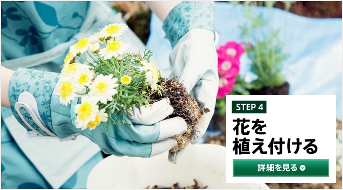 STEP4 花を植え付ける