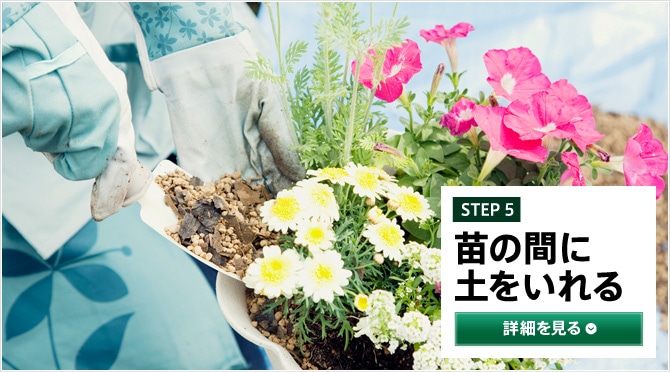 STEP5 苗の間に土をいれる