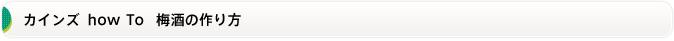 カインズ  how To  梅酒の作り方